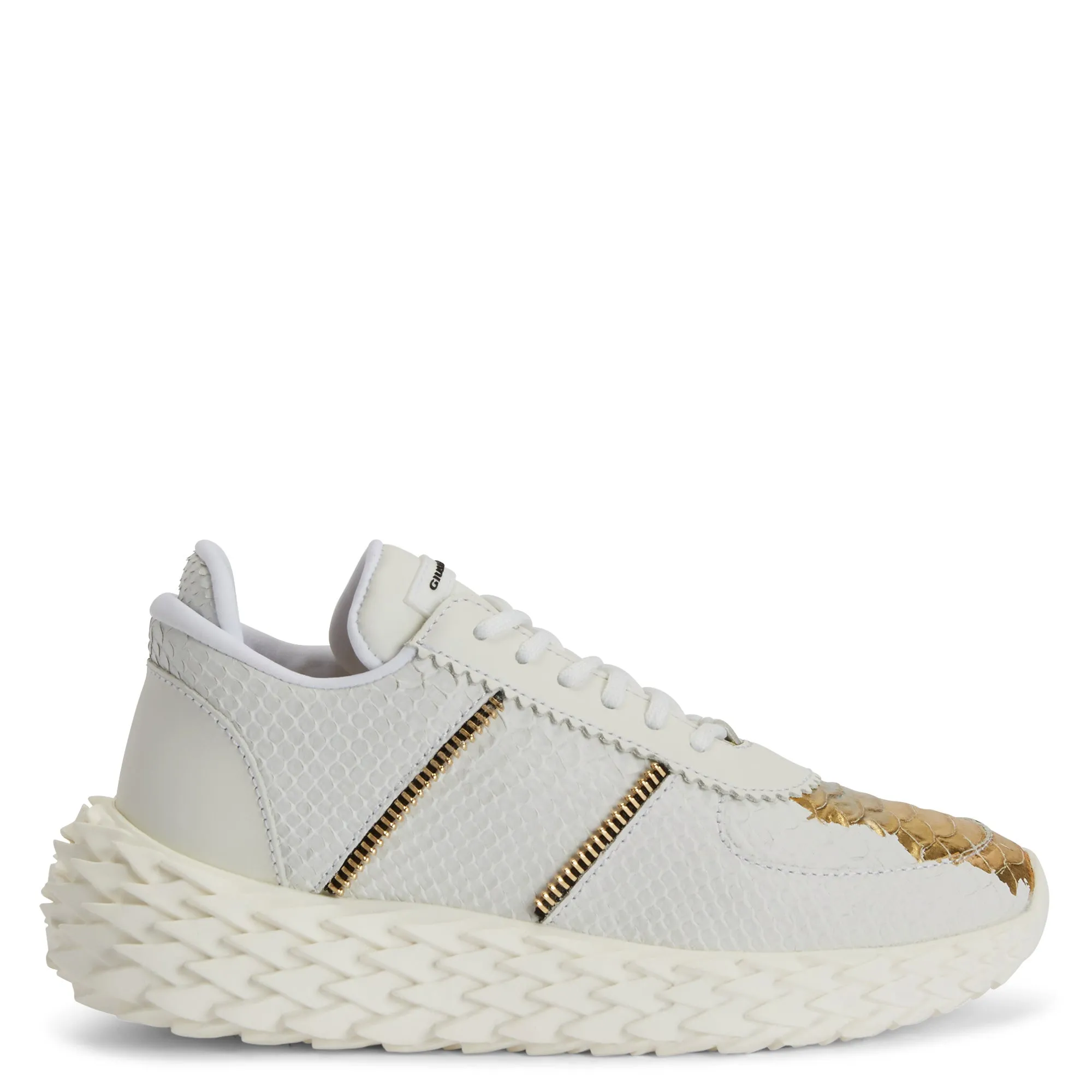 Giuseppe Zanotti Urchin