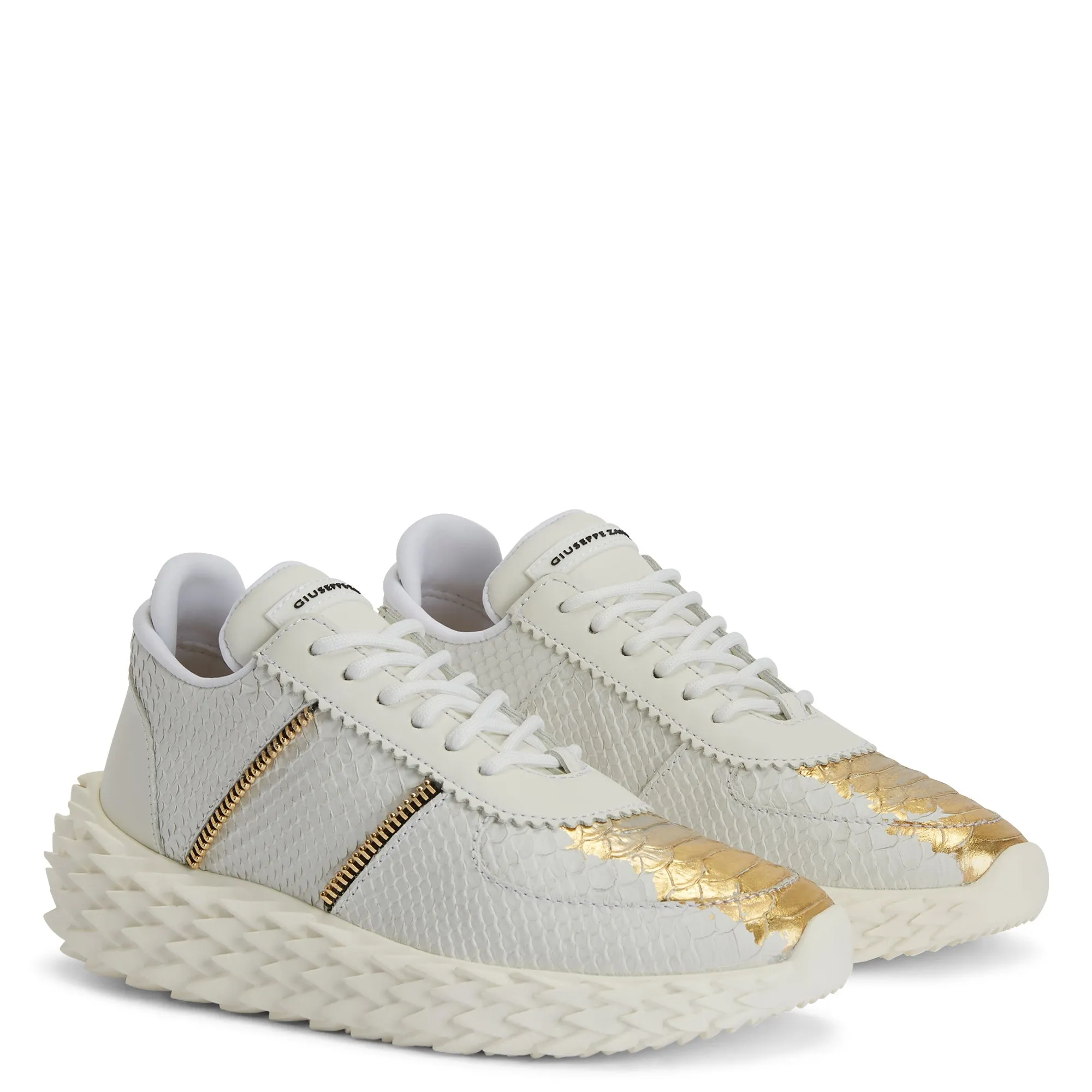 Giuseppe Zanotti Urchin